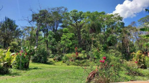 Los Árboles